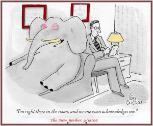 Elephant-in-the-room